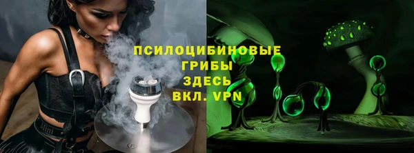 ПСИЛОЦИБИНОВЫЕ ГРИБЫ Аркадак