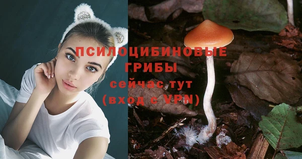 ПСИЛОЦИБИНОВЫЕ ГРИБЫ Аркадак