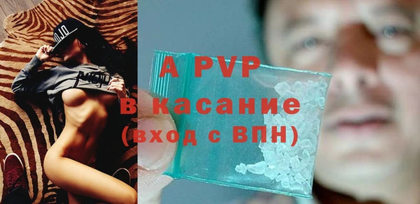 шишки Арсеньев